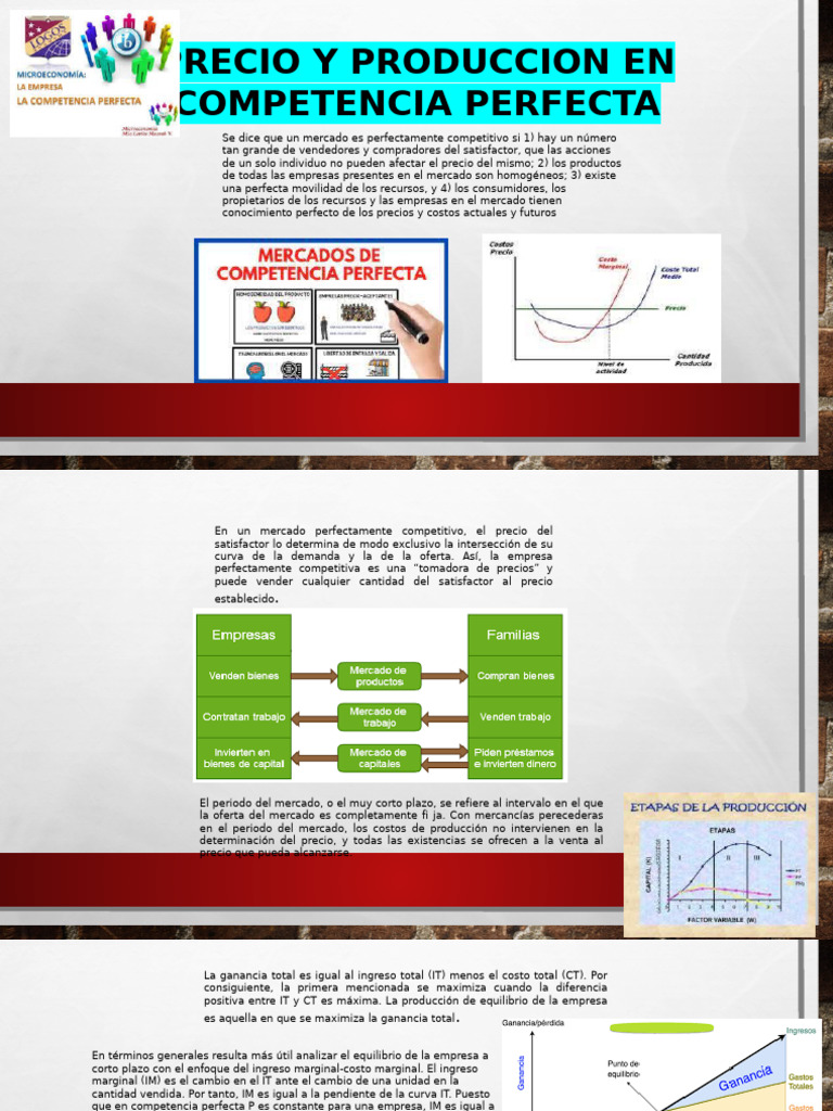Precio y Producción en Competencia Perfecta | PDF | Mercado (economía ...
