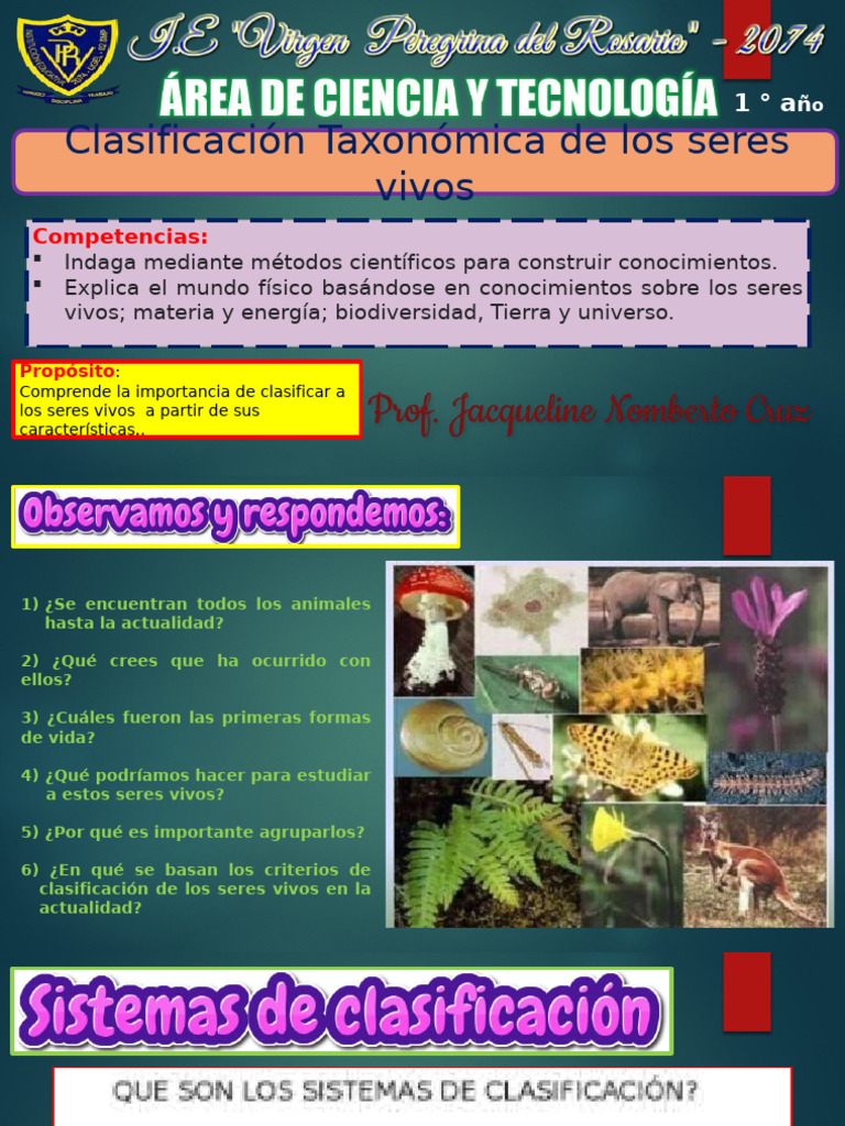 Clasificacion De Los Seres Vivos Pdf Filosofía Ciencia Y Matemáticas