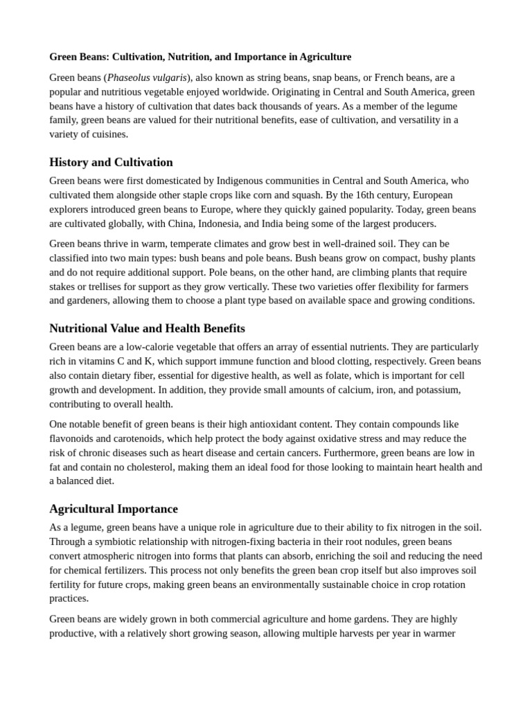 Green Beans: Cultivation & Benefits | PDF | Bean | Green Bean