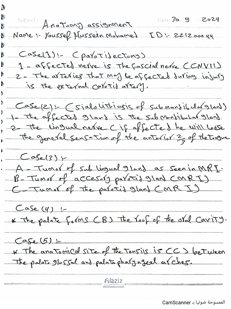 Anatomy Assignment#Youssef Hussein#-1 | PDF