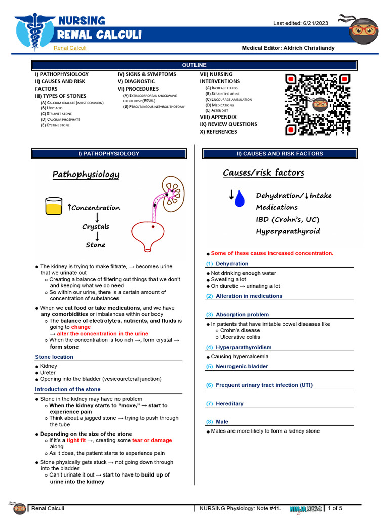 Understanding Renal Calculi: Causes & Care | PDF | Urology | Diseases ...