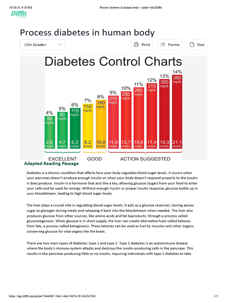Understanding Diabetes Processes | PDF | Diabetes | Hyperglycemia