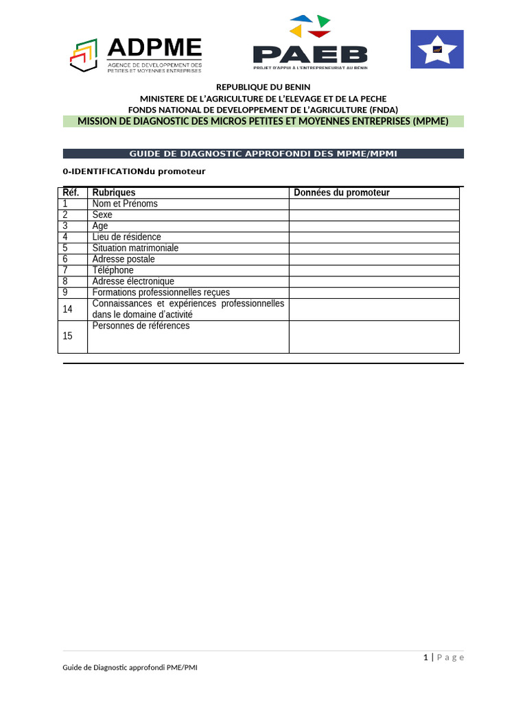 Guide de Diagnostic MPME/PMI | PDF | Petite ou moyenne entreprise ...