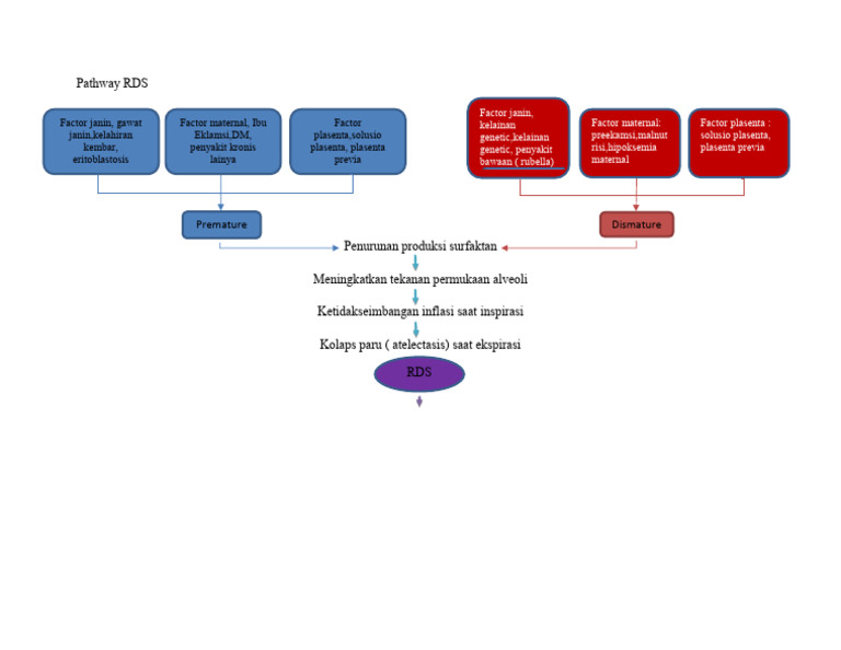 Faktor Penyebab Pathway RDS pada Bayi | PDF