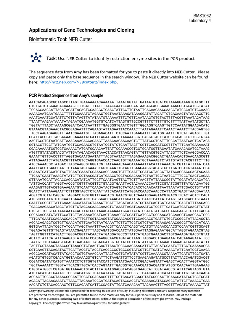 PCR Sequence For NEB Cutter | PDF | Copyright | Polymerase Chain Reaction