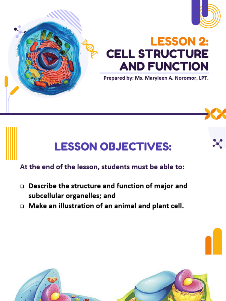 1Q - L2 - Cell Structure and Function | PDF | Cell (Biology ...