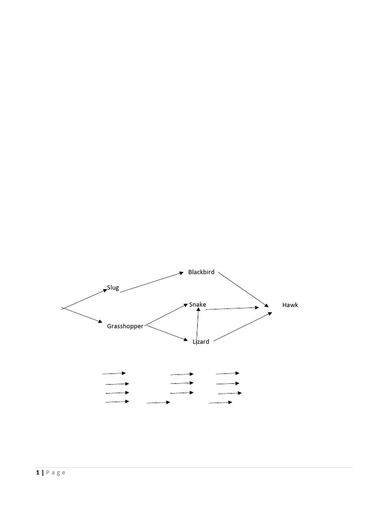 Marking Scheme 1 | PDF | Science & Mathematics