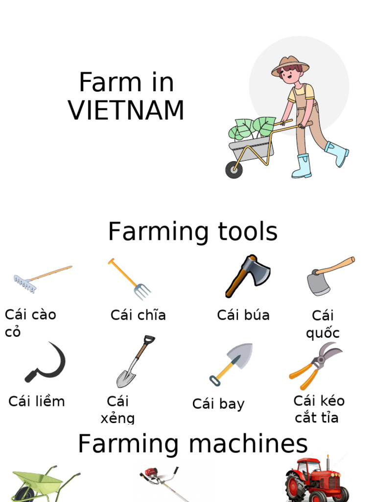 Agriculture & Farm | PDF