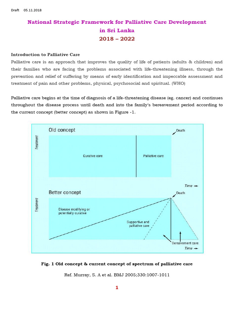 National Strategic Framework For Palliative Care Development in Sri ...