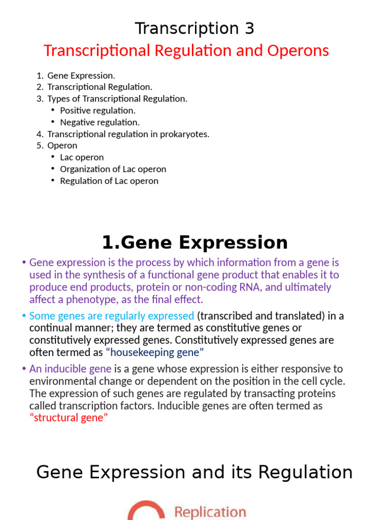 Transcription 3 | PDF | Operon | Regulation Of Gene Expression
