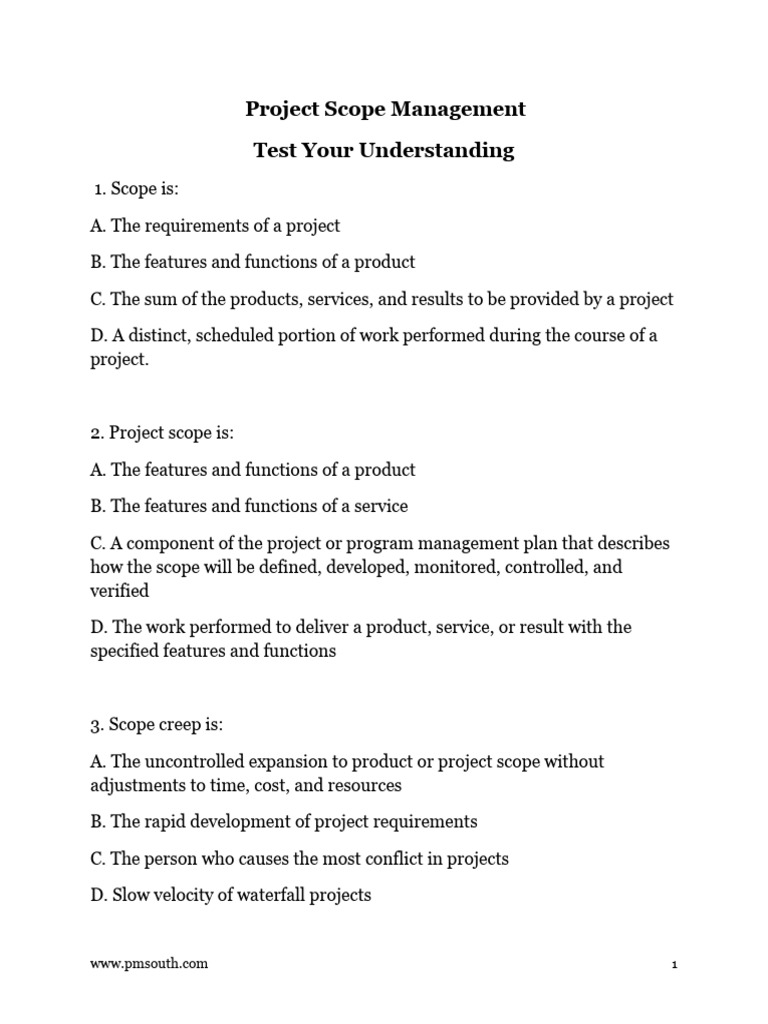 Scope Management Questions | PDF | Art