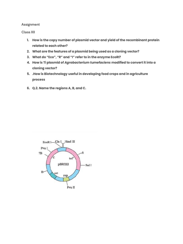 Assignment 12 Bio | PDF