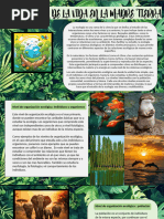 Organizador Visual de Niveles de Organizacion Ecologicas | PDF ...