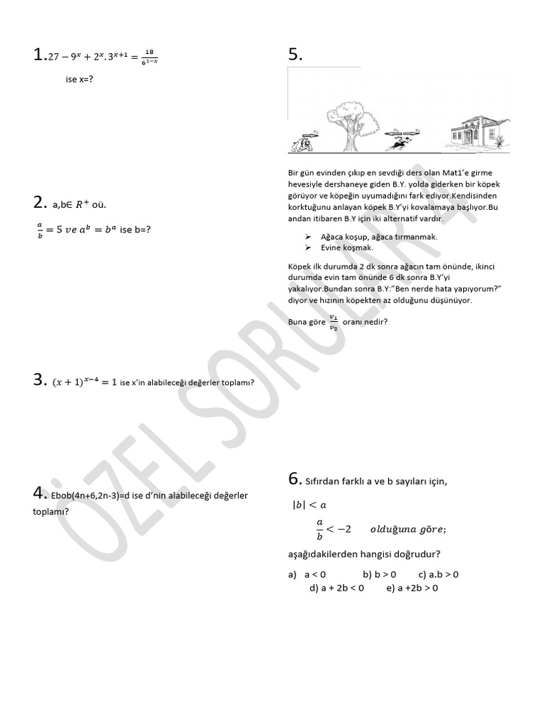 Özel Sorular 4 | PDF