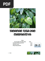 Download Tanaman Toga Dan Manfaatnya2 by Meutia Azisa SN78711852 doc pdf