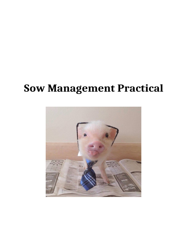 Sow Oestrous Cycle and Insemination Guide | PDF | Medical Ultrasound ...
