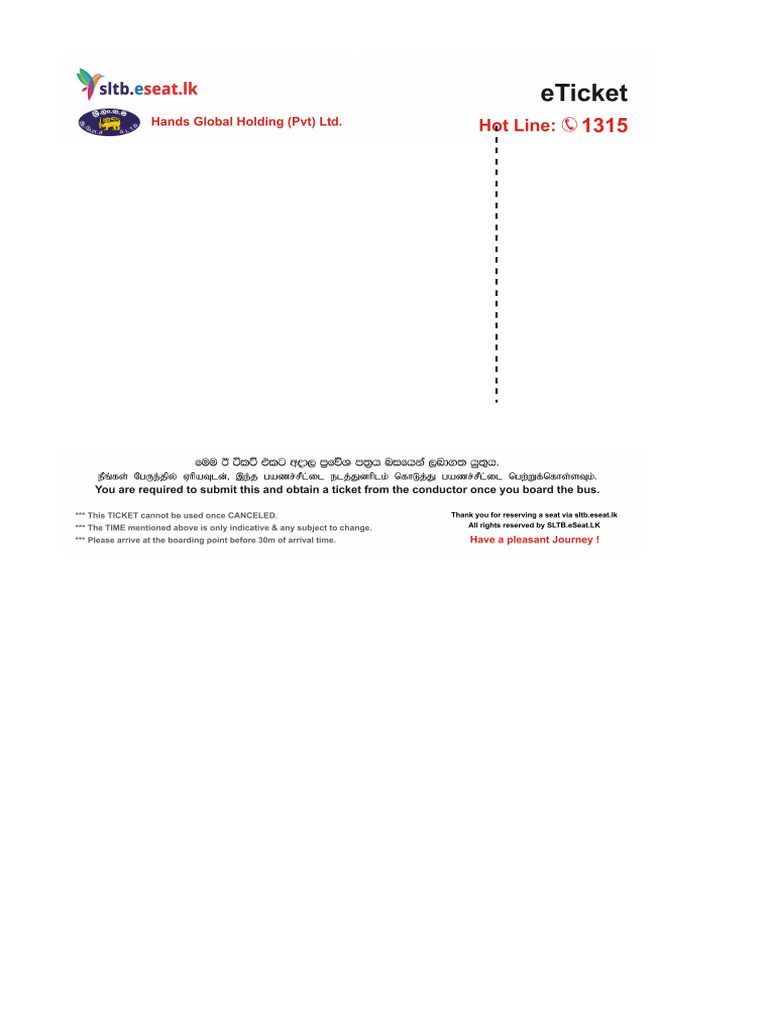 Eticket 344417984772313 Pdf