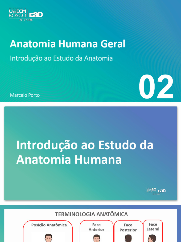 Introdução à Anatomia Humana Geral | PDF | Anatomia | Corpo humano