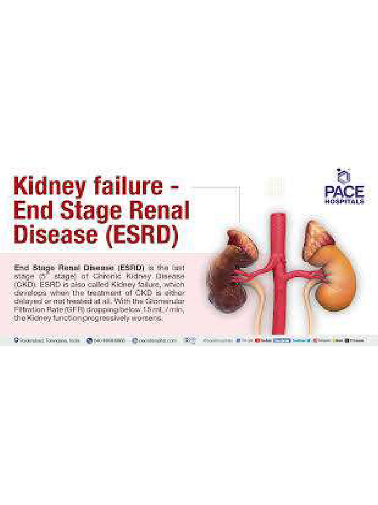 Kidney Failure End Stage | PDF