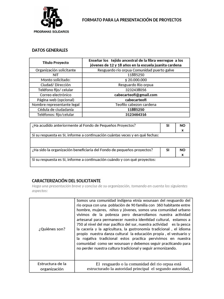 Formato para La Presentacion de Proyectos Itacho 2 3 | PDF | Textiles