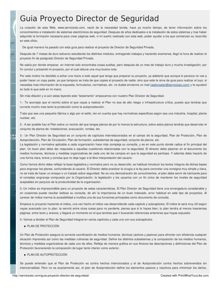 Guía Proyecto Director de Seguridad Tecnologia de La Seguridad | PDF ...
