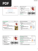 10-20 EEG Electrode Placement Guide | PDF