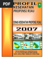 Download Profil Kesehatan Provinsi Riau Tahun 2007 by Indiana Sunita SN78719008 doc pdf
