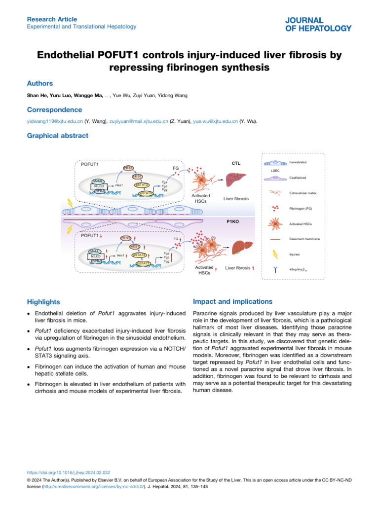 Endothelial POFUT1 Controls Injury Induced Liver F | PDF | Cirrhosis ...