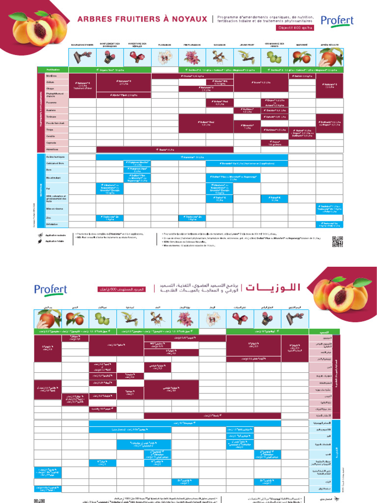 Crop Plan AFN 11 2022 | PDF