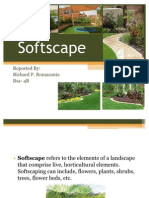 Softscape Report on Landscape Elements
