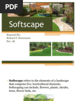 Understanding Softscape Elements | PDF | Mulch | Trees