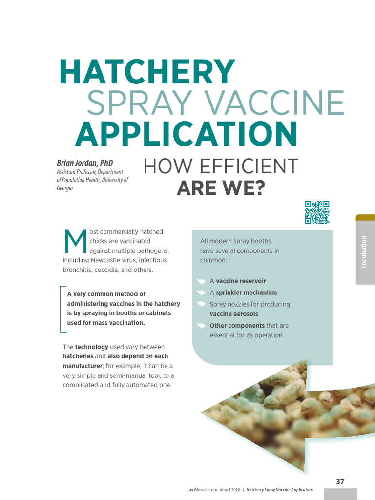 Hatchery Spray Vaccine Application | PDF