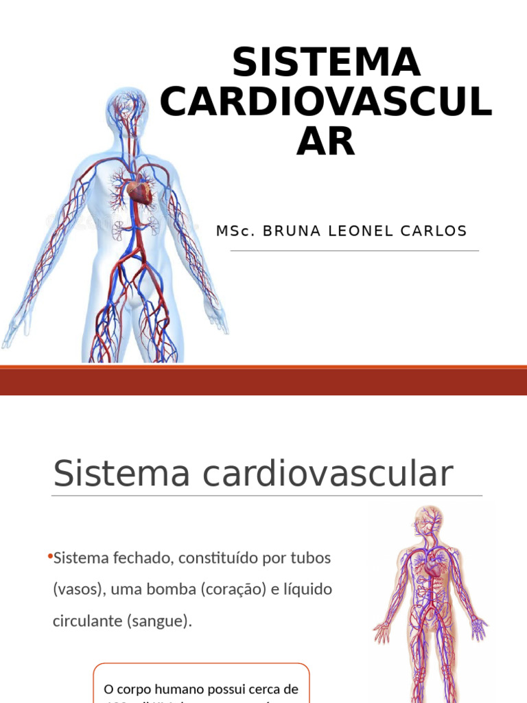 Anatomia e Funções do Sistema Cardiovascular | PDF | Coração | Sistema ...