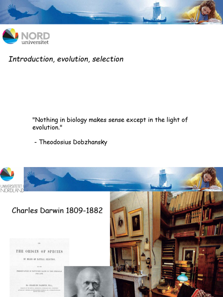 Guppy Birth and Natural Selection | PDF | Natural Selection | Evolution