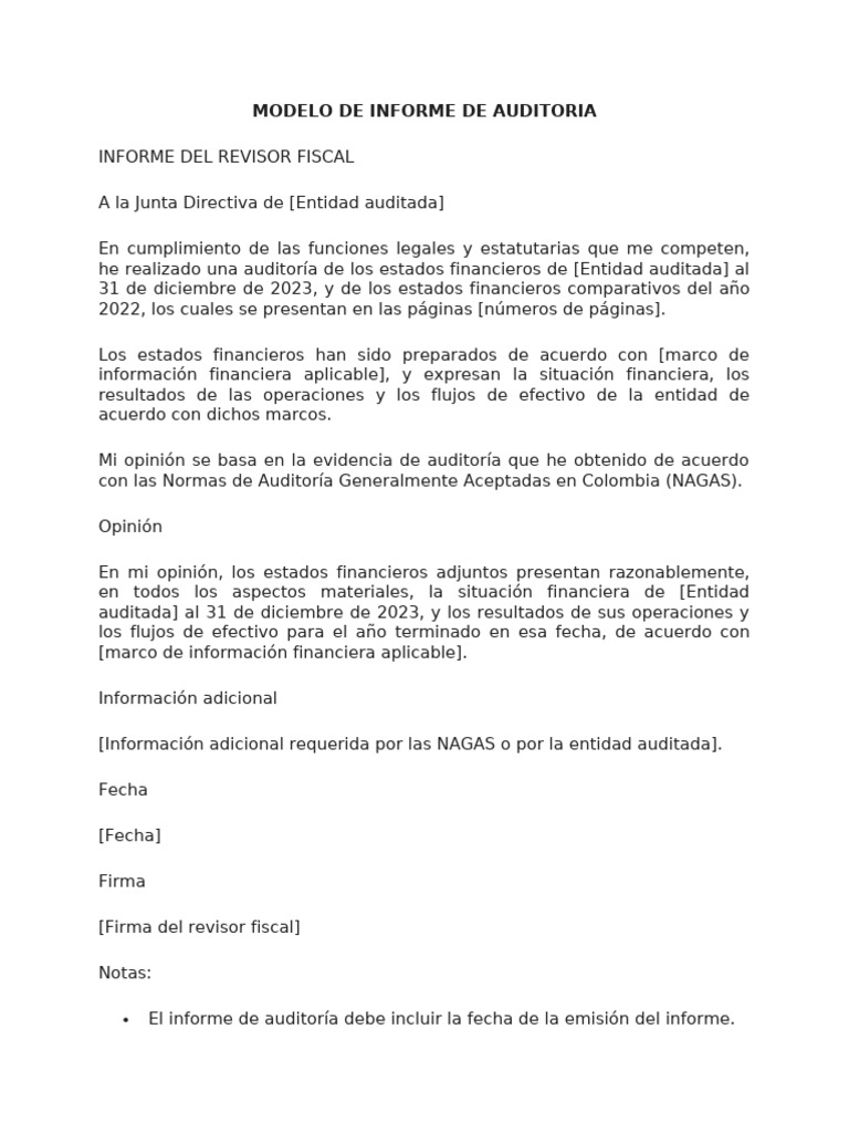 MODELO DE INFORME DE AUDITORIA | PDF