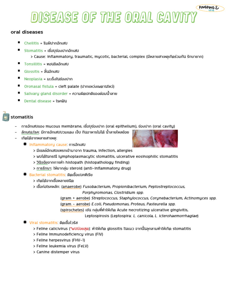 1 Disease of The Oral Cavity | PDF | Periodontology | Medical Specialties