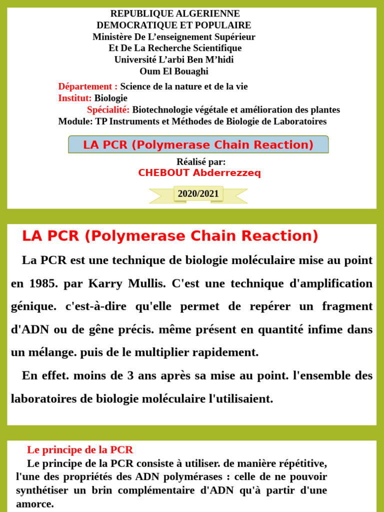 introduction-la-pcr-en-biologie-mol-culaire-pdf-r-action-en