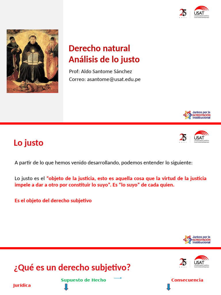 Derecho Natural y Justicia: Conceptos Clave | PDF | Justicia | Crimen y ...