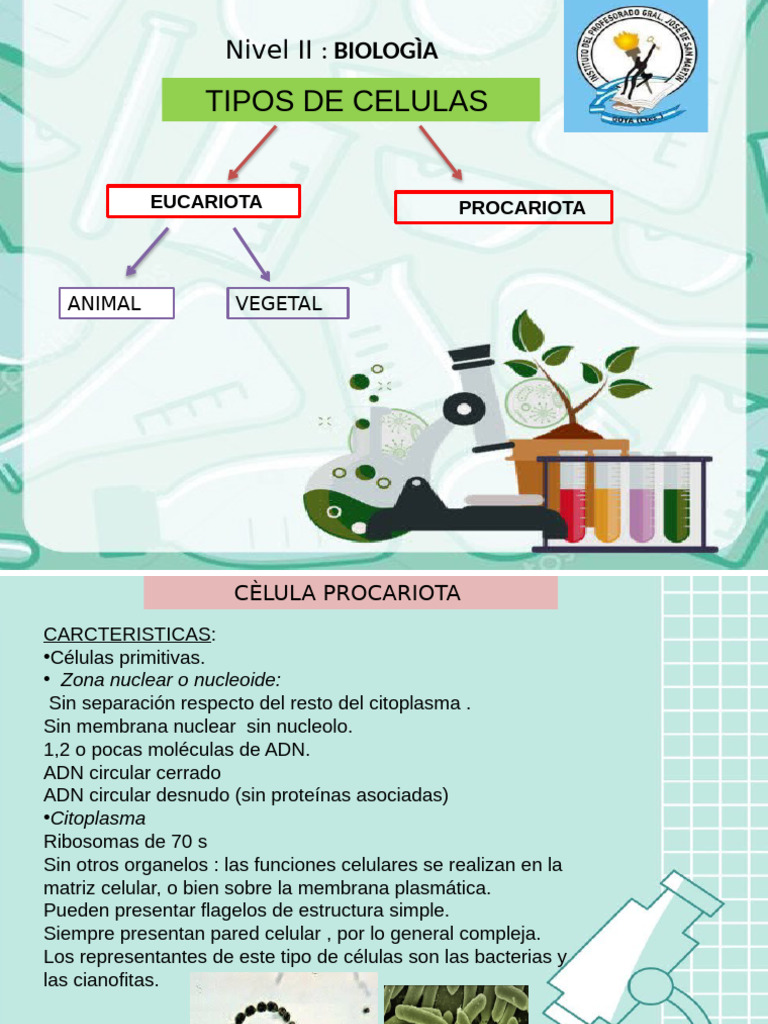 Tipos de Células: Procariotas y Eucariotas | PDF | Biología Celular ...