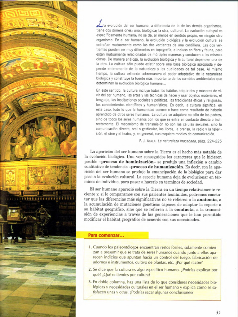 Material Teórico Sobre Cultura | PDF