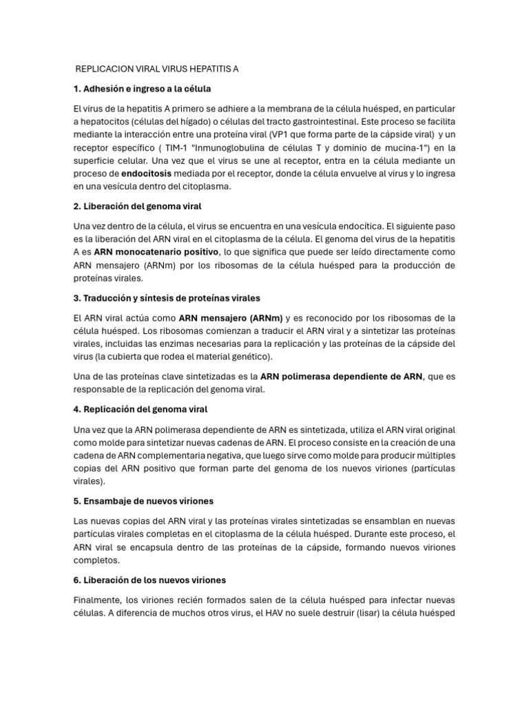 Replicacion viral virus hepatitis a pdf virus rna