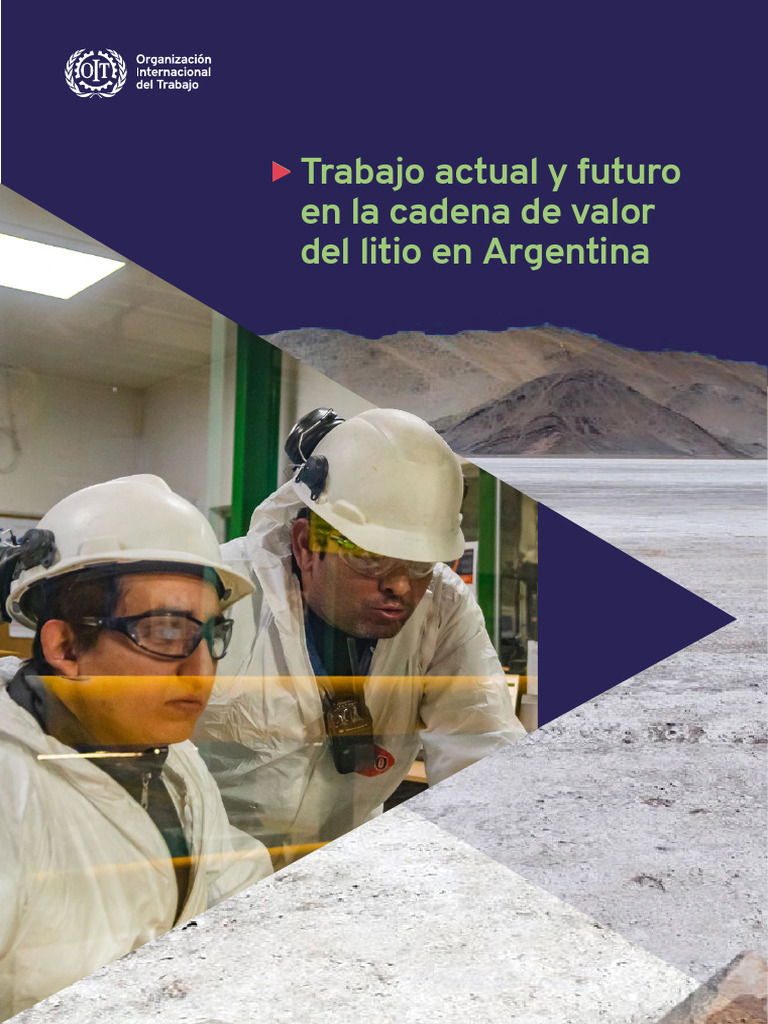 Trabajo Actual y Futuro en La Cadena de Valor Del Litio en Argentina ...