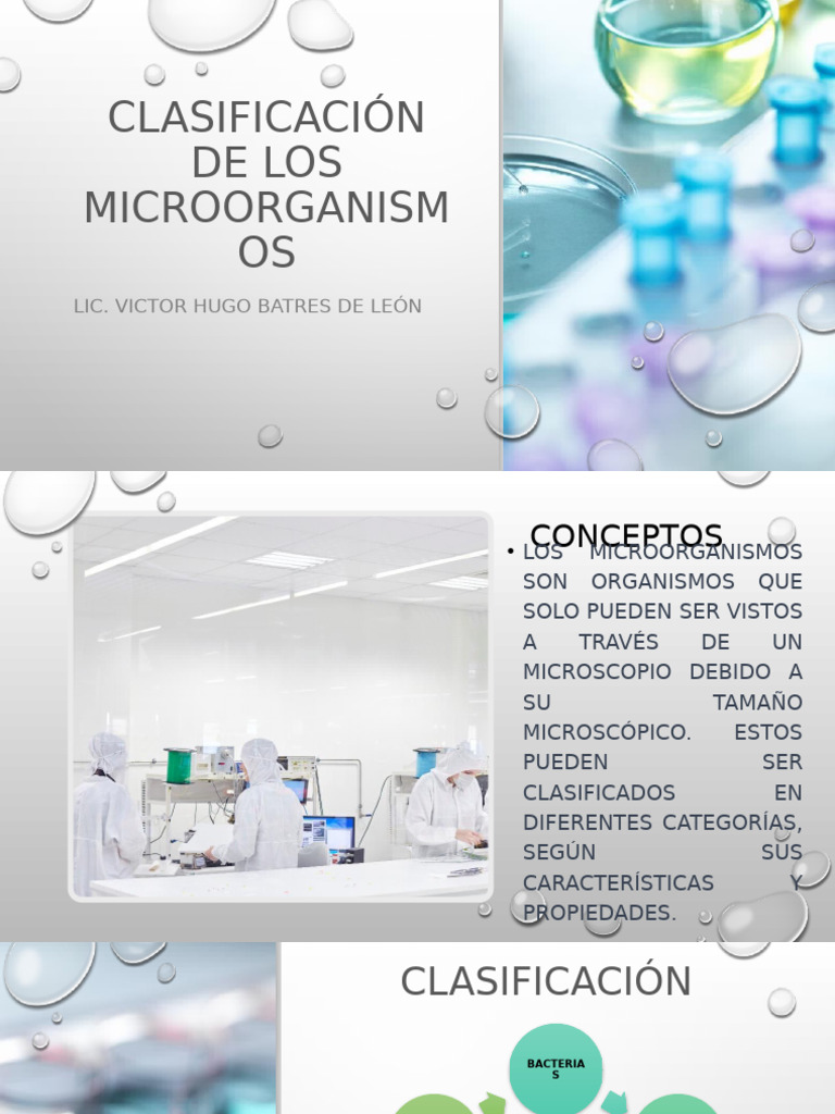 Clasificación de Microorganismos y Su Impacto | PDF | Microorganismo ...