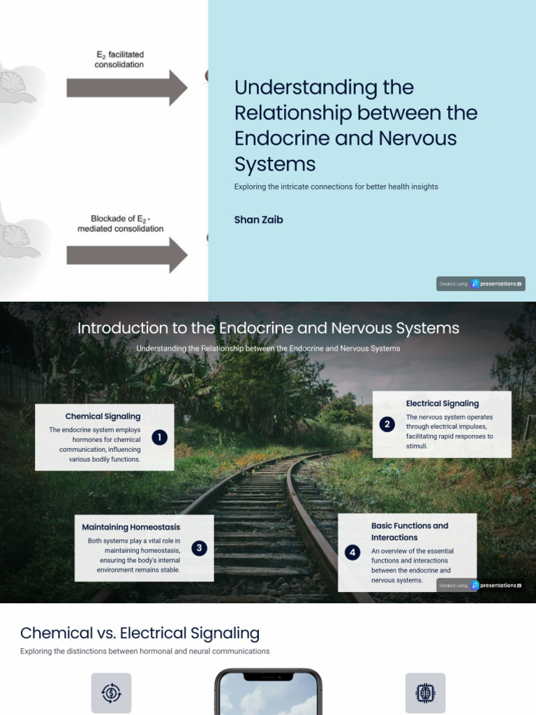 Endocrine and Nervous System Relationship Analysis | PDF