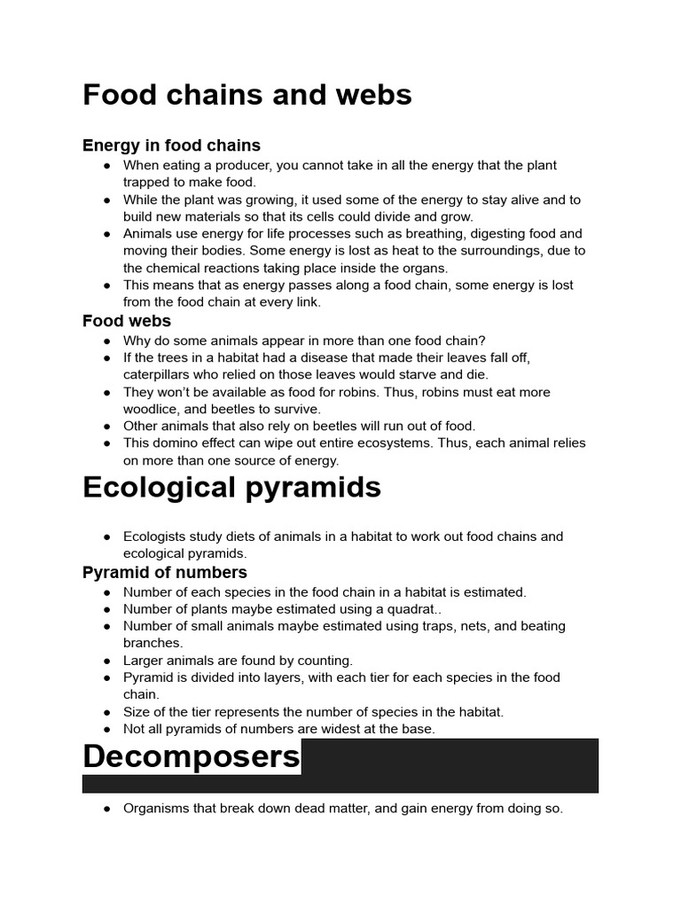 Understanding Food Chains and Ecosystems | PDF | Foods | Ecology