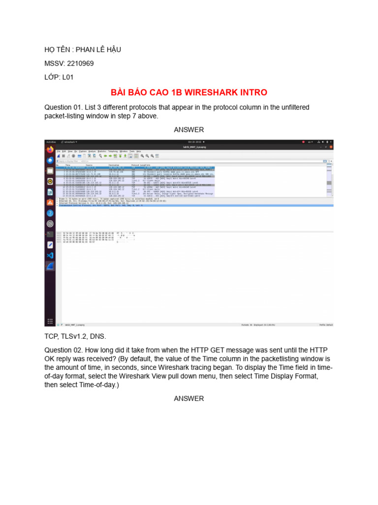 Wireshark Protocol Analysis Report | PDF | Computers