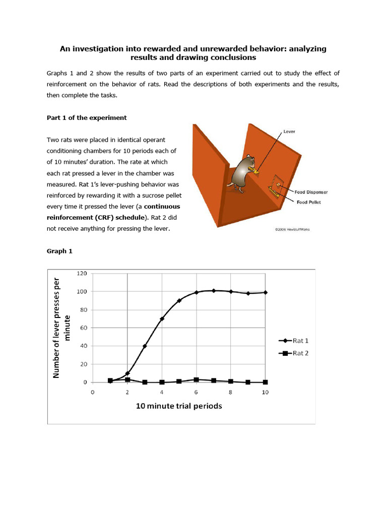 Behavior Reinforcement in Rats Study | PDF