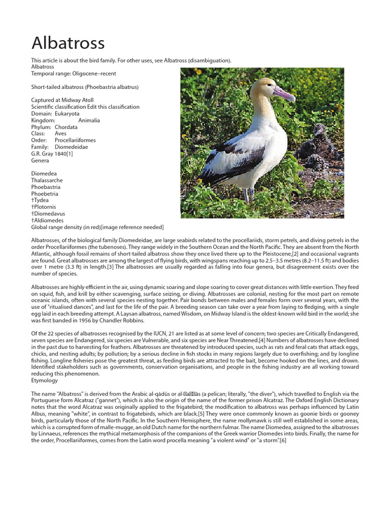 Albatross | PDF | Ornithology | Neognathae