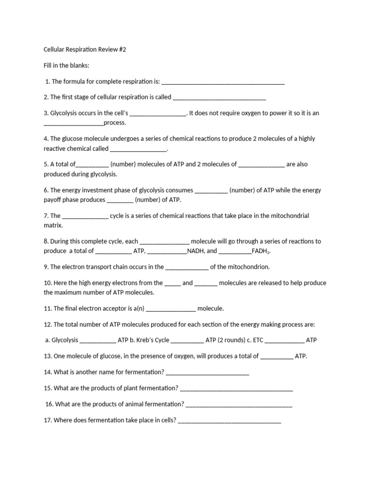 Cellular Respiration Review #2 | PDF | Cellular Respiration | Adenosine ...
