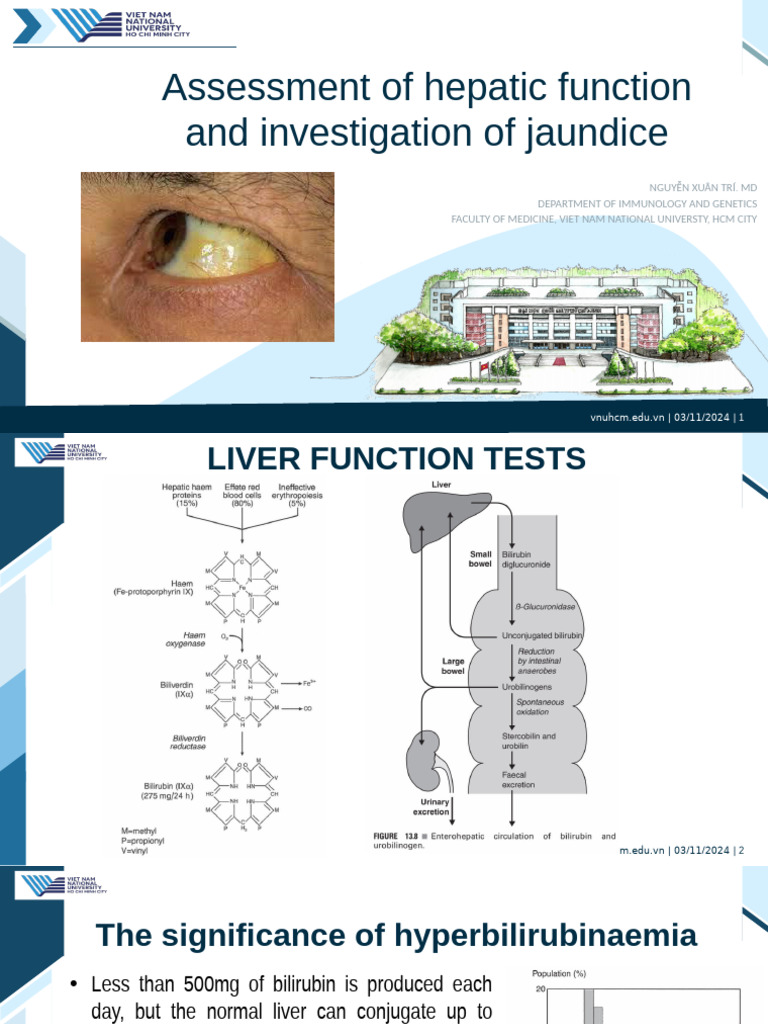 Jaundice and Liver Function Assessment | PDF | Liver | Clinical Medicine